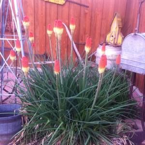 Meet your Posher, Barbara